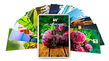flash card set 1