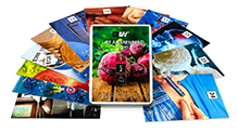 flash card set 1